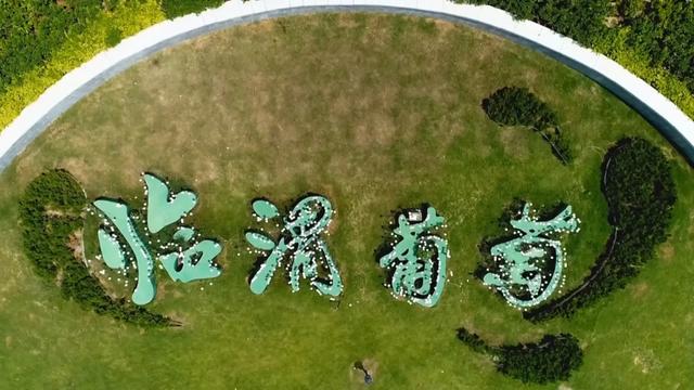 渭南葡萄产业园“葡萄大舞台”解锁盛夏新乐趣
