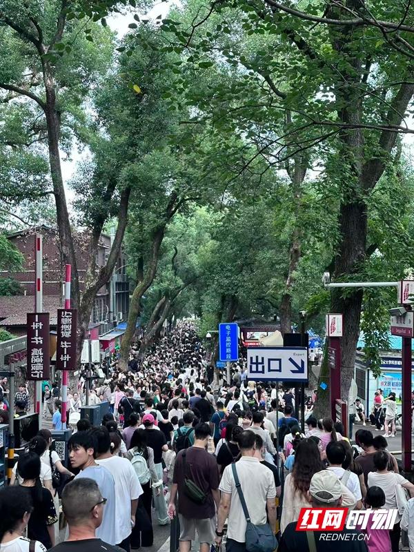 国庆观文旅④丨湖南文旅市场开启“沸腾”模式 热门景区相继限流