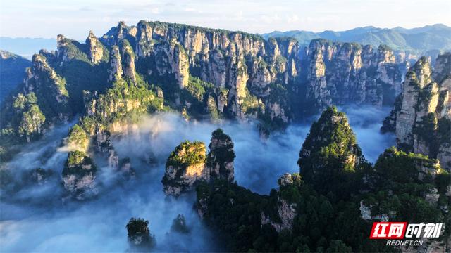 张家界鹞子寨景区：金秋日出云海同框 绘就多彩山水画卷