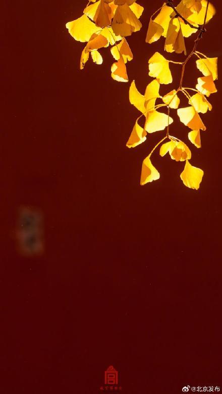 转发收藏！故宫初冬鎏金壁纸上新了 第6张