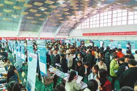 校园春招来了！近七成毕业生欲留辽宁图片