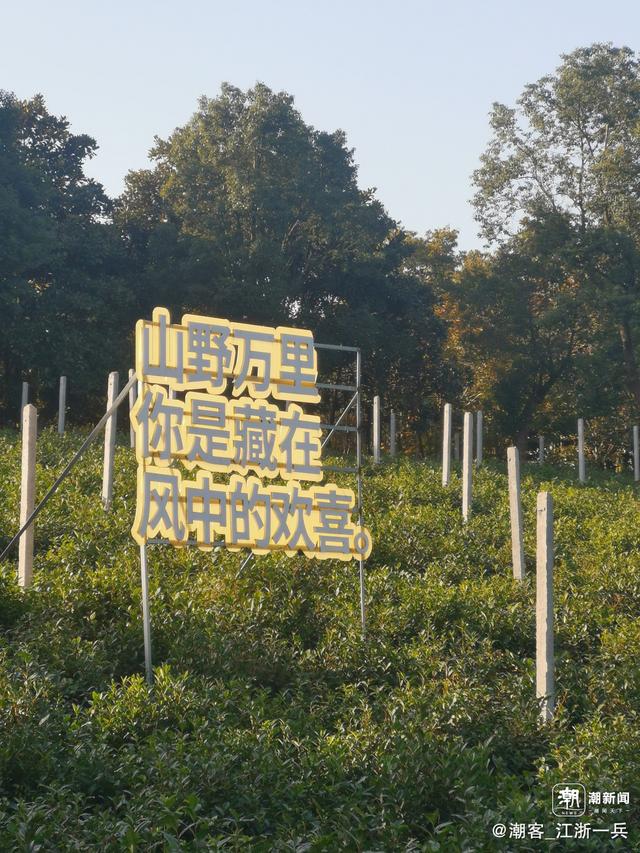 写点生活｜长兴水口疗养记