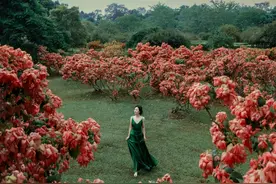 又美又会生活！她们的人生太精彩了！图片