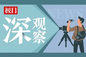 腾讯总部大楼贴“膜”防鸟撞背后：鸟撞频率远比想象高，小波点能帮大忙图片