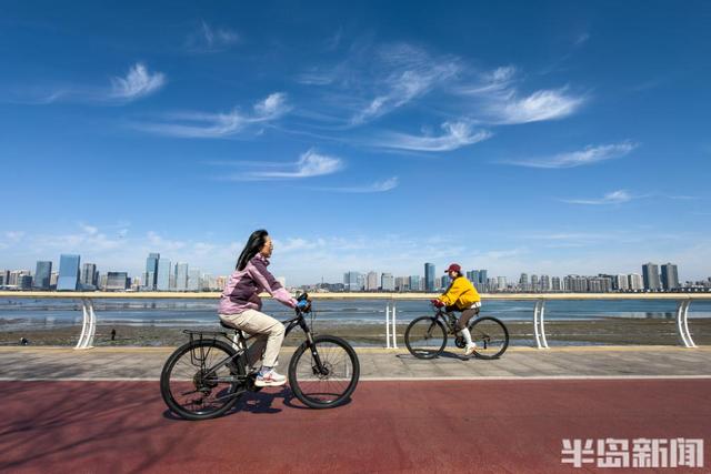 唐岛湾畔，花开浪漫