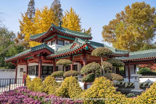 趵突泉涌玉龙，青石板映唐宋灯火，济南版“江南”在此