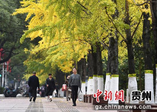 贵阳：初冬时节好风景