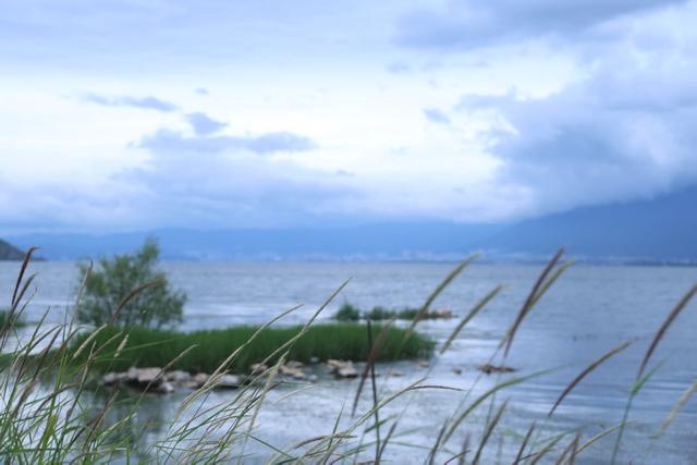 吾乡大藏·大理