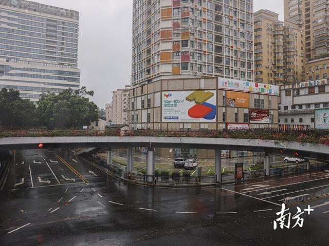 “桦加沙”过境后，珠海情侣路市民游客又多了起来｜一线直击