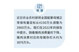 经典重温 | 猪周期分析手册图片