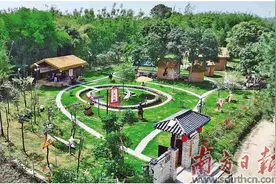 美丽庭院深几许 和美乡村绿意融图片