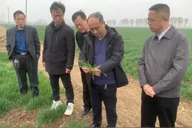 巨野县：春耕备播忙，农机服务保粮仓图片