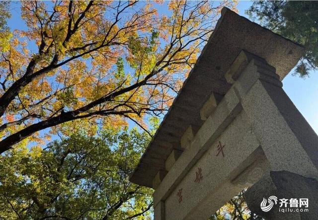 组图丨一大波美图来袭！泰山景区9个赏秋地超出片