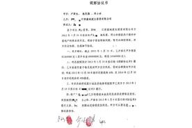 标的金额8366万元的调解书过了12年仍处执行僵局，各方回应图片