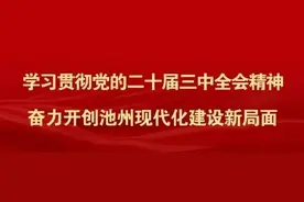 池州这些土味，出圈了！图片