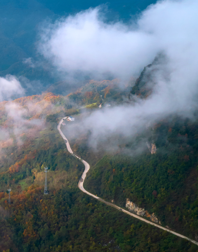 青睐绵阳 ‖ 云端公路 层林尽染！初冬驾游平武药丛山，限定版的视觉盛宴~