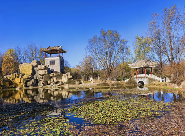 园博园初冬，赴一场静美之约