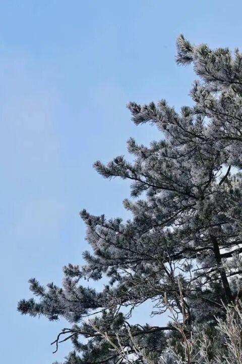 央媒看鞍山｜新华网客户端：辽宁鞍山：冬日胜景揽客来