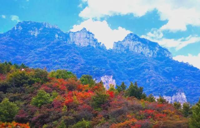 周末就出发!郑州周边5座好爬不累的山→