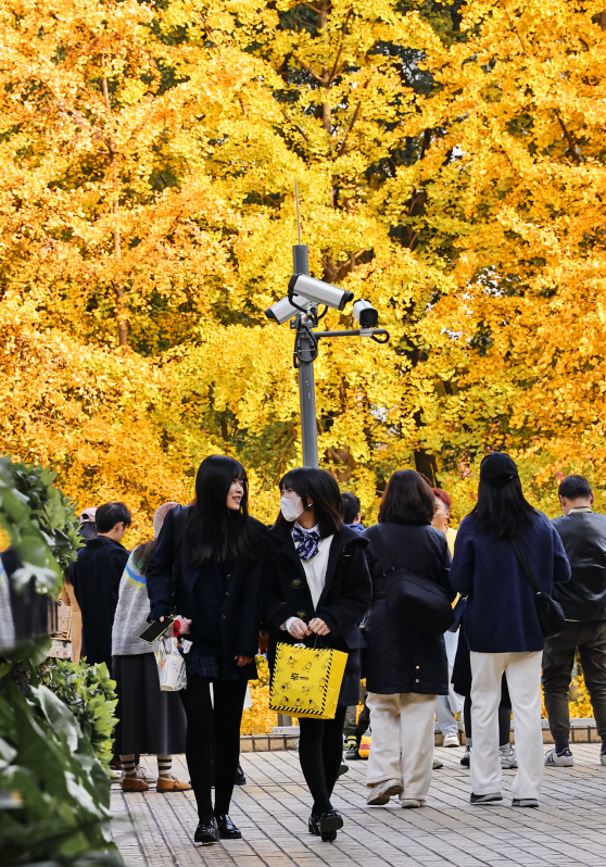 出站即是大片！上海秋日最美地铁站已上线→