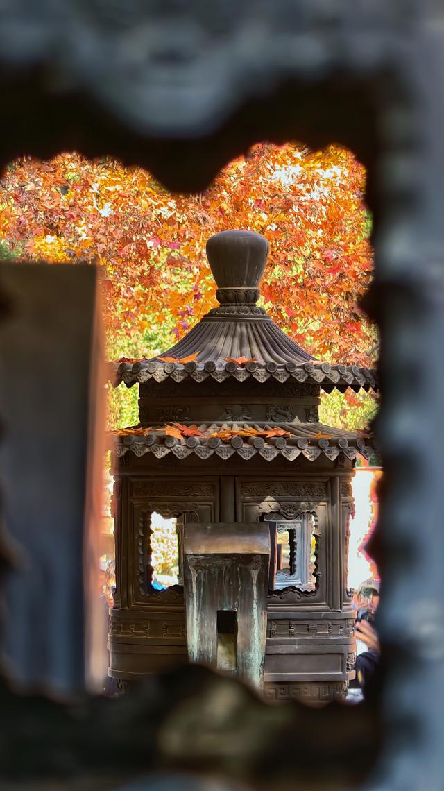 于香山叶脉间，读懂了这座城的秋天