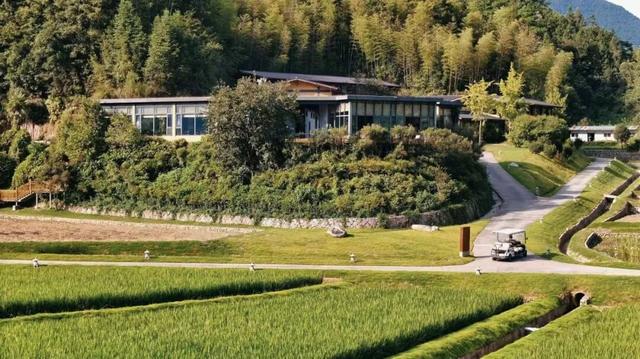 祝贺！泰宁ANAPANA安纳班纳·泰宁荣膺“最佳旅居康养目的地酒店”