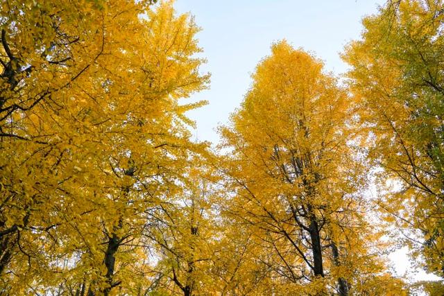 出片率100%！海陵“含金量”在上升！