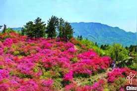 安徽六安创新文旅营销策略 掘金全域旅游经济图片