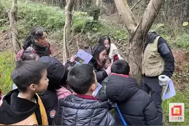 了解动植物的神奇防御 自贡开展“科普启智 阅读悦享”趣味科普活动图片