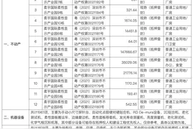 无人出价，柔宇显示名下12套不动产等资产拍卖流拍图片