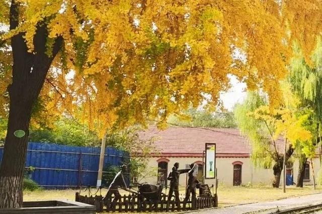 醉美坊子｜秋染小城，被时光温柔以待