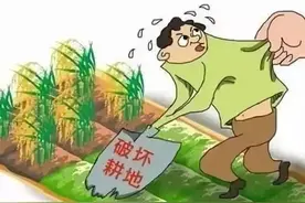 耕地保护政策，请谨记！图片