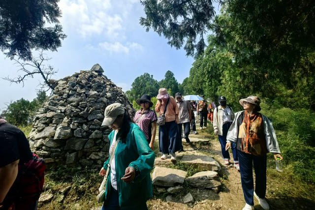 荣耀时刻！东平湖文旅集团荣膺“2025年中国文旅运营标杆企业”