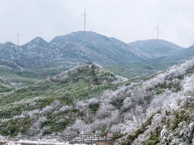 出片率99.99%！快来邂逅綦江版“冰雪奇缘”