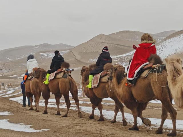 自然观察 | 鸣沙山月牙泉迎来初雪！沙与雪的秘境私语，美到心醉