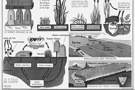 农民已死，农民万岁！——现代化对法国农村的冲击图片