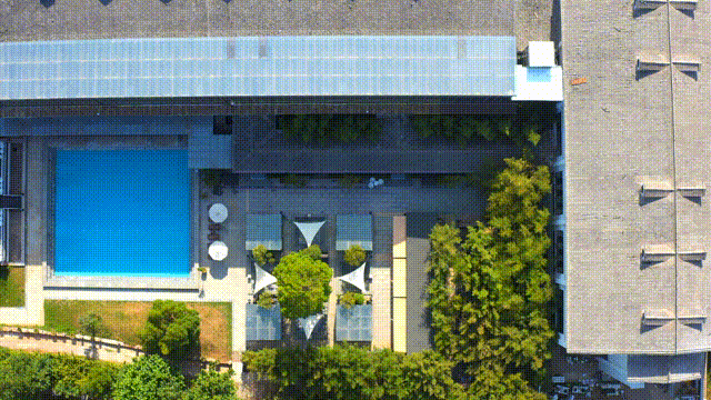 年假清零，总要留几天给洛阳