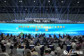 中国徽茶 迎客天下 2025第十七届安徽国际茶产业博览会开幕图片