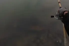 “当时就无心钓鱼了！”河南钓友在洛阳附近“钓”到古碑？文保部门回应图片