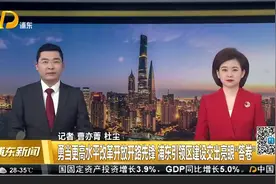 勇当更高水平改革开放开路先锋 浦东引领区建设交出亮眼“答卷”视频封面