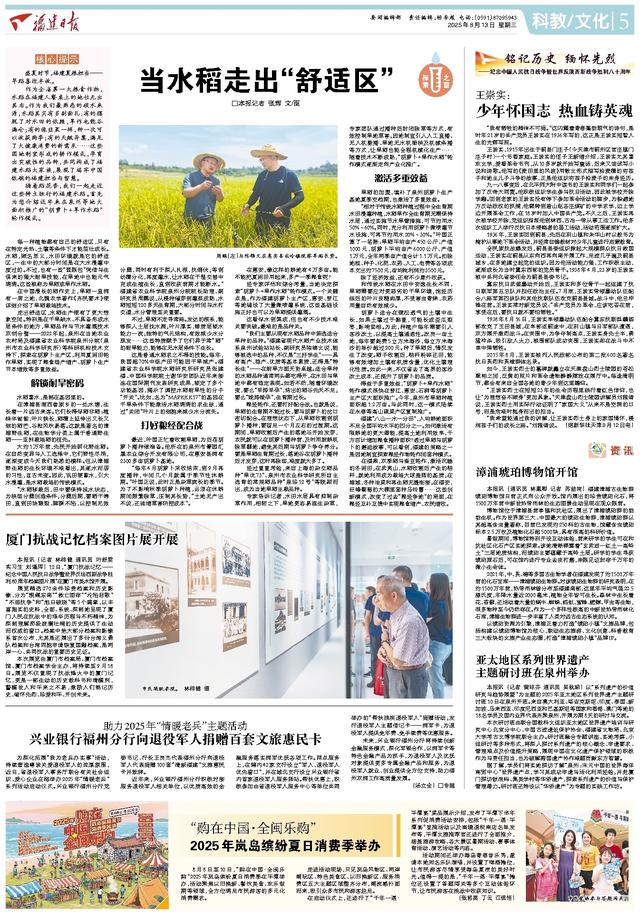 “购在中国·全闽乐购”2025年岚岛缤纷夏日消费季举办