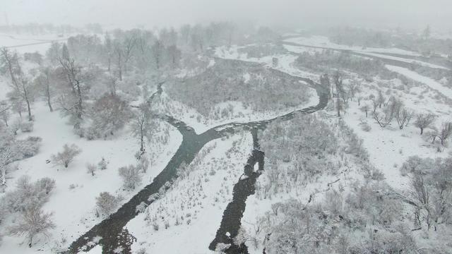 疆山如画丨雪花纷飞 那拉提披上银白盛装