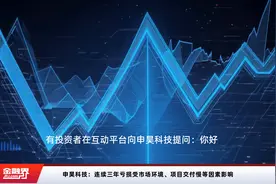 申昊科技：连续三年亏损受市场环境、项目交付慢等因素影响视频封面