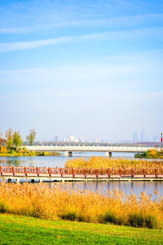 全部免费！西安4个冬日晒太阳好去处！