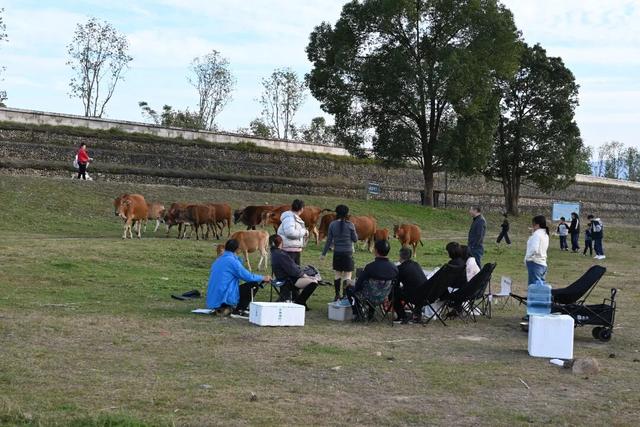 首个秋假，莲都这里有点“火”！