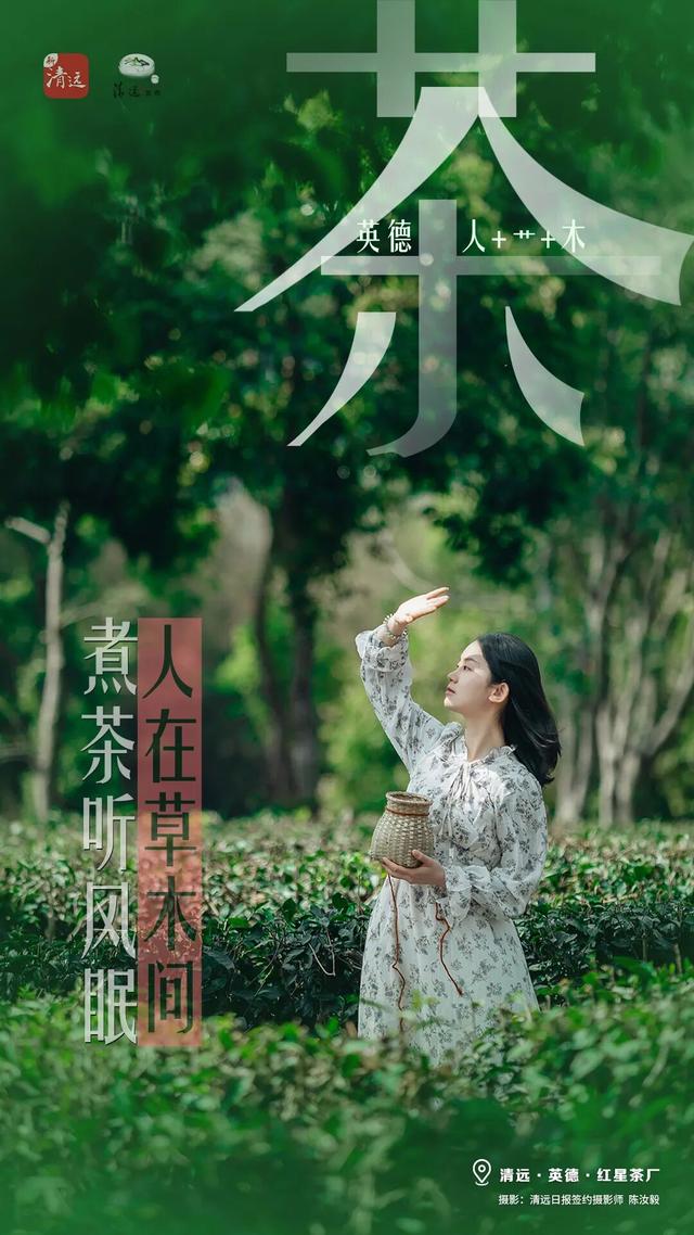 在清远，你是“休”、是“仙”、还是“茶”？