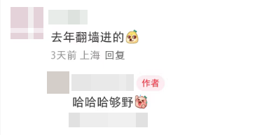 上海有个超美的新公园，未开先火！有人偷偷爬进去、溜进去、翻进去……太危险！