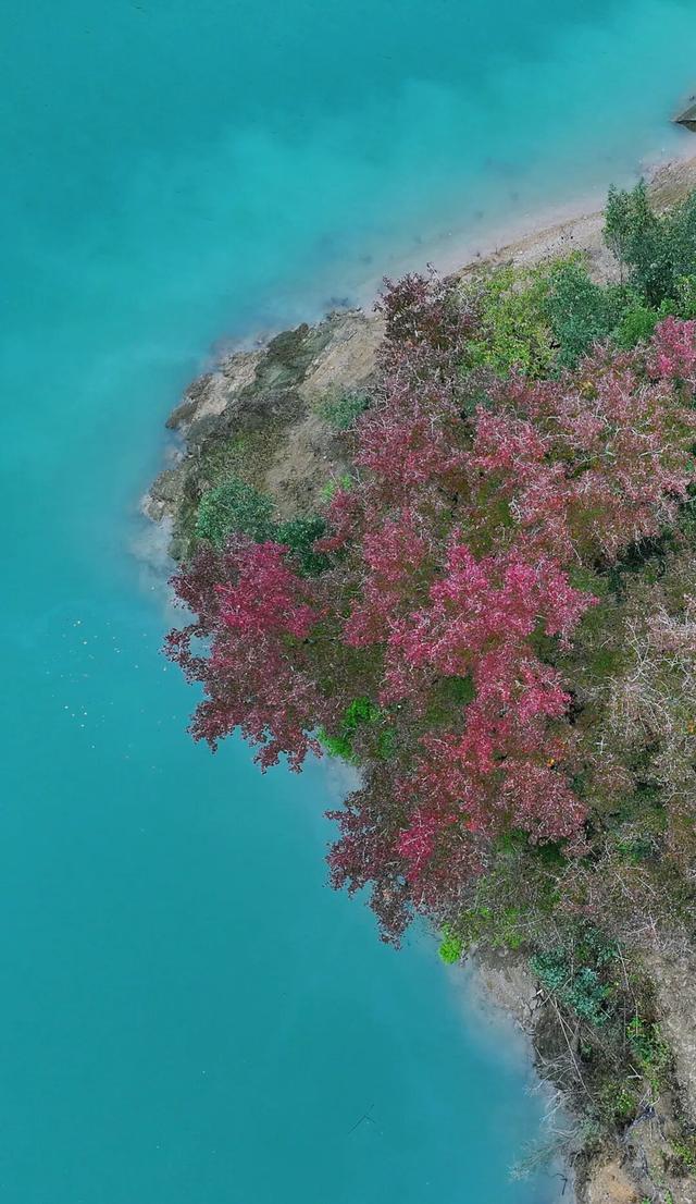 酉阳初冬美景合集：邂逅山间调色盘，每一帧都是壁纸！