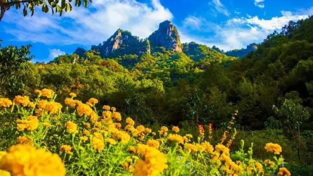 “我想离开浪浪山”，去神都洛阳看一看