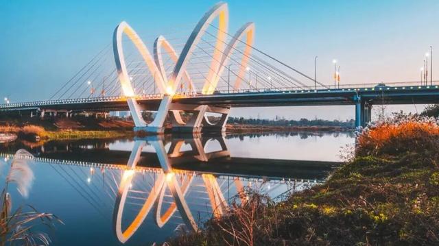 园林城市 绿意生活 | 这条绿色游径太美了！